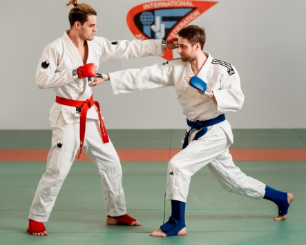 Rules JJIF Fighting 2023 37