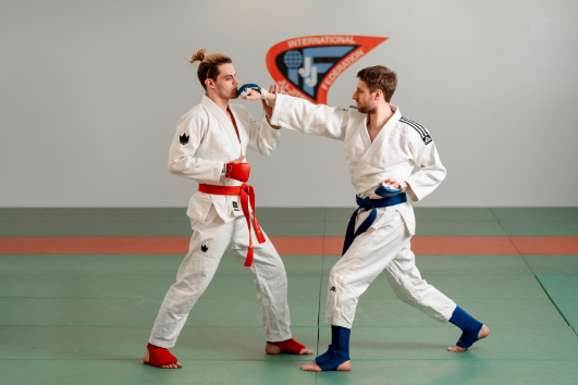 Rules JJIF Fighting 2023 72