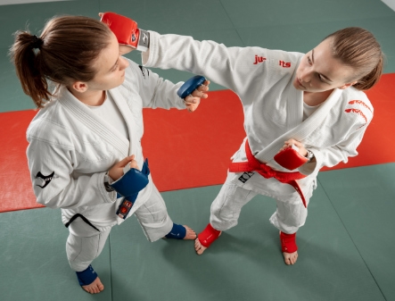 Rules JJIF Fighting 2023 78