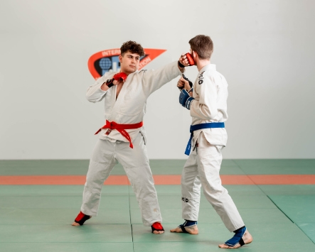 Rules JJIF Fighting 2023 81