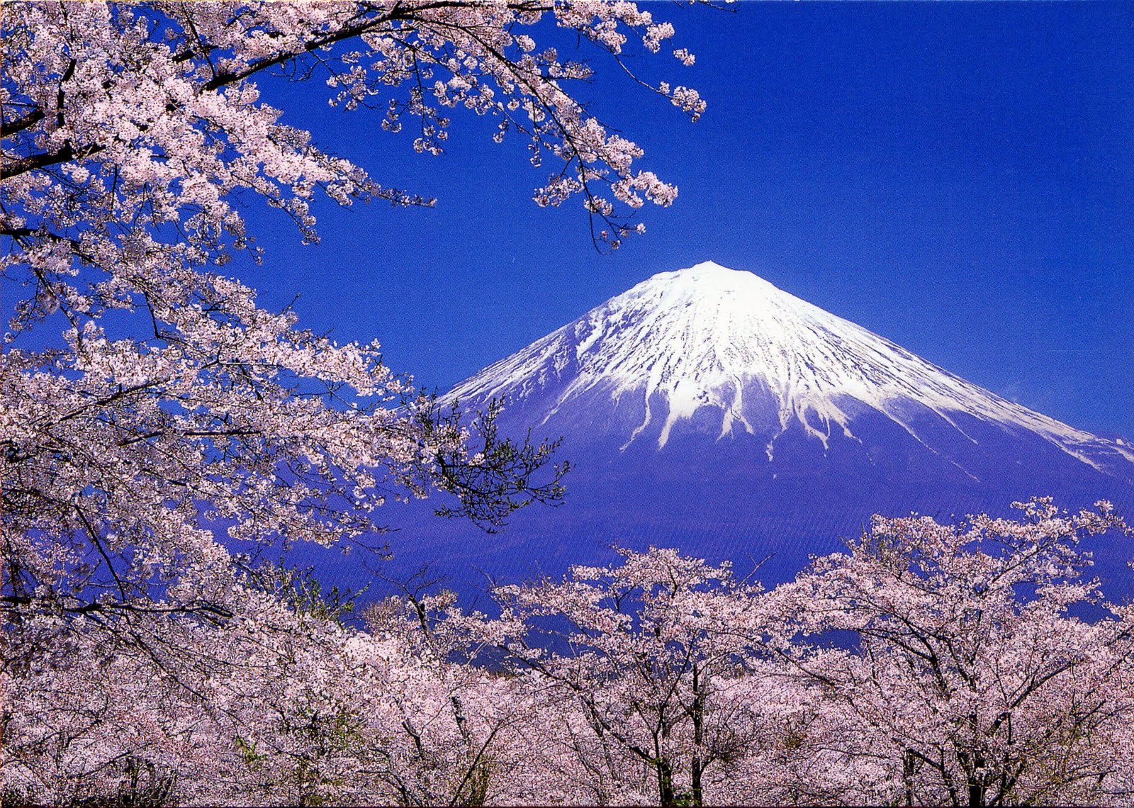 Mont Fuji